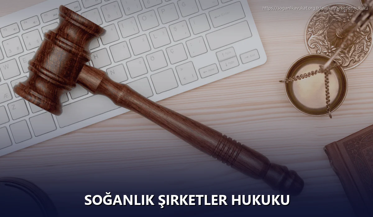Soğanlık Şirketler Hukuku